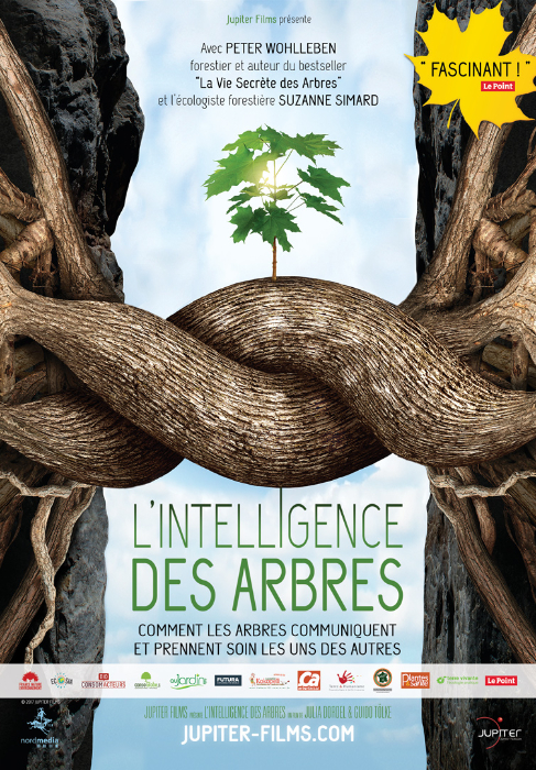 intelligences_des_arbres